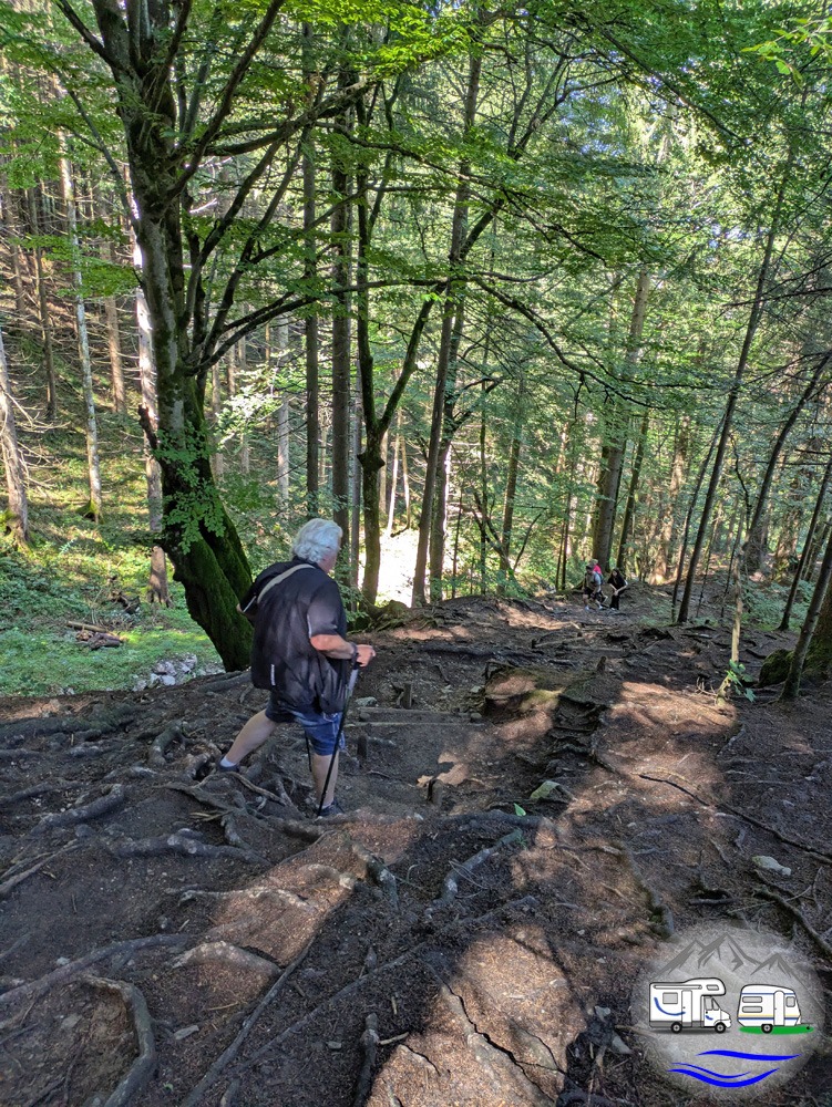mit Ferdinand nahmen wir den Bachweg bergab