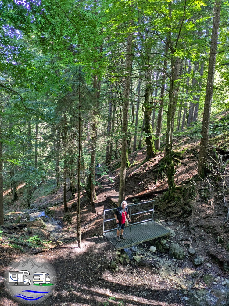Blick von oben auf die kleine Brücke über den Bach