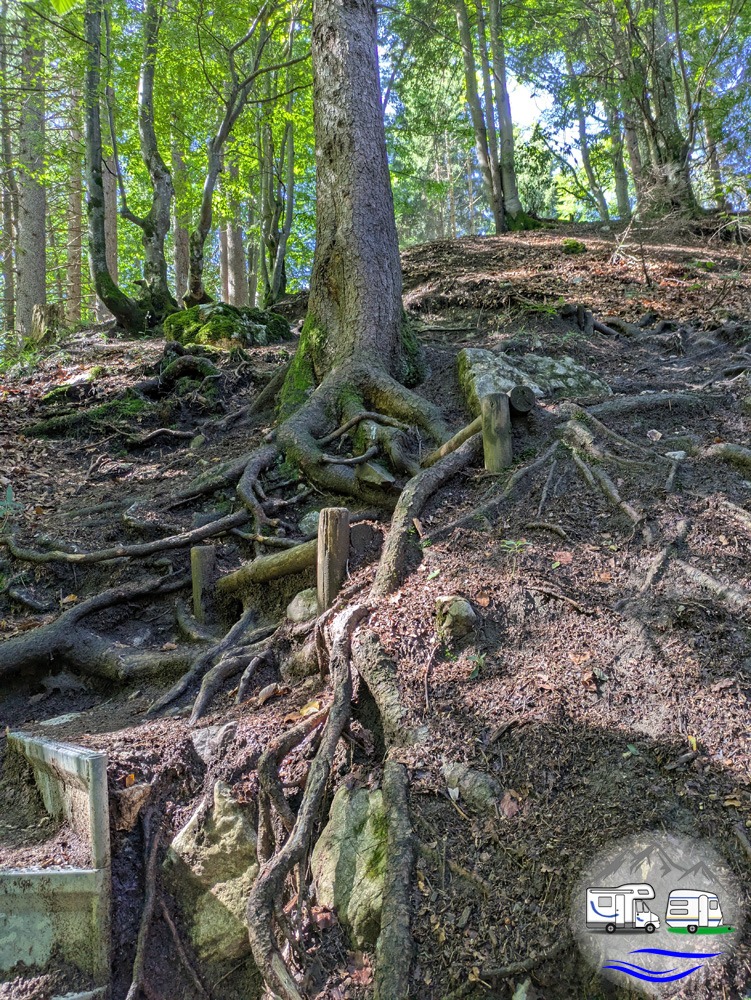 dieser Weg ist garantiert nicht langweilig