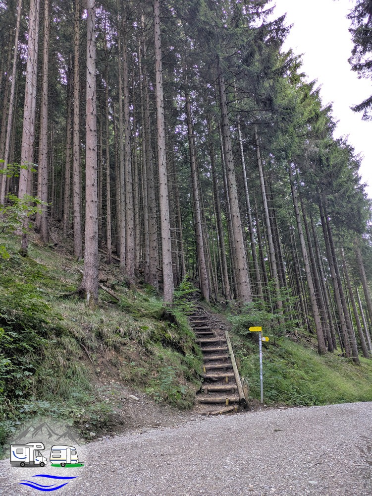 nach dem Überqueren der Forststraße geht es weiter über Treppen ...