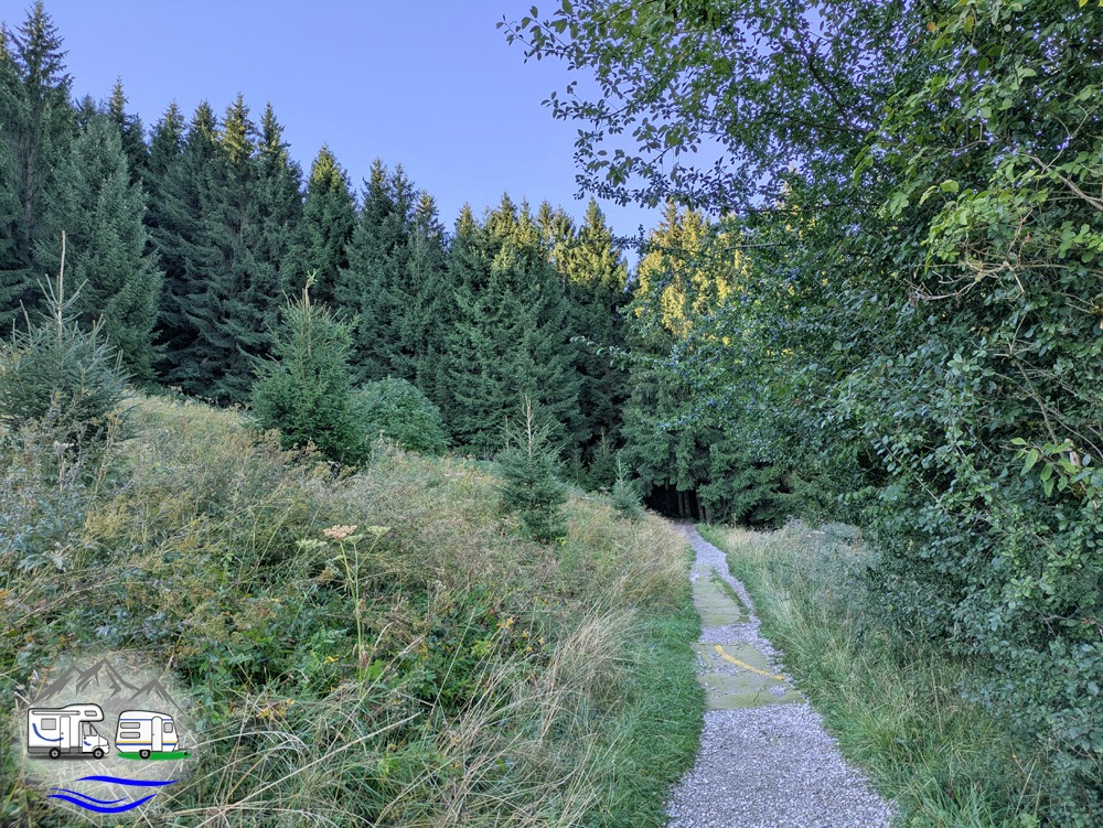 der Kulturenweg nähert sich dem Bergwald